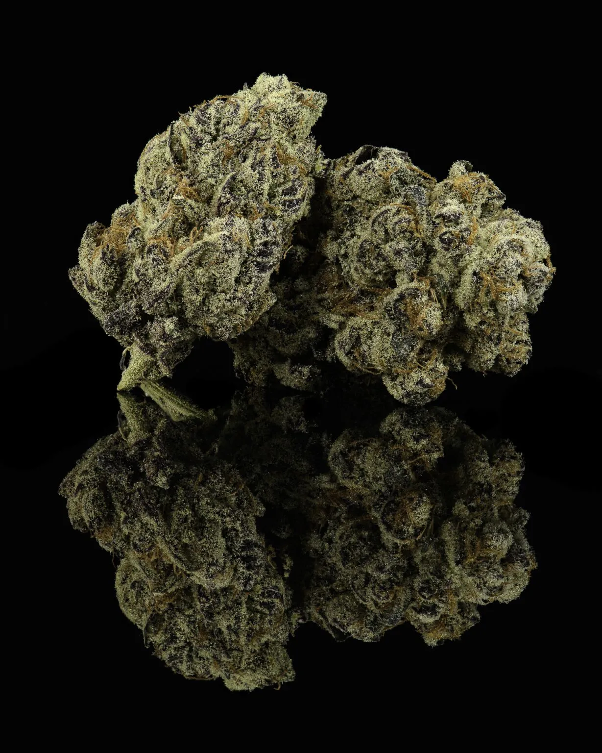 COOKIES: PRE-PACKAGED THCA FLOWER - HONEY BUN (HYBRID) - Image 3